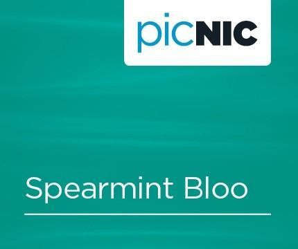 Spearmint & Blueberry E Liquid Flavour Shot