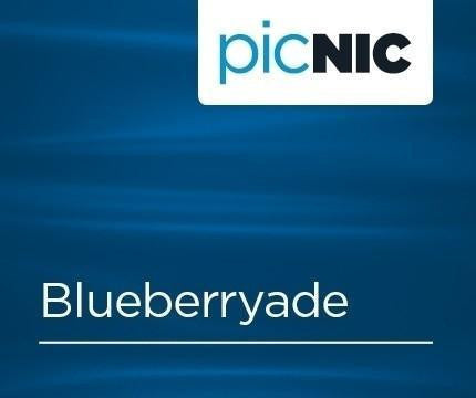 Blueberry Lemonade E Liquid Flavour Shot
