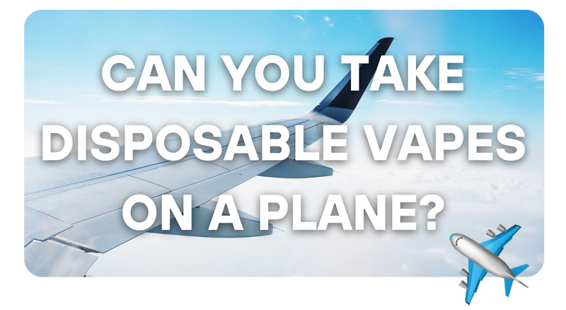 bringing disposable vape on plane Can you take vapes a in the UK? Size:10 Pack (180ml) VapeShopSG Update| Top 10 Disposable