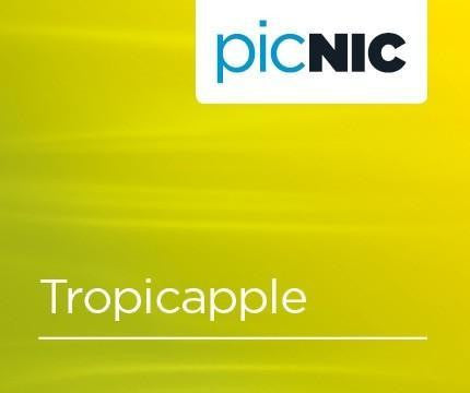 Apple & Pineapple E Liquid Flavour Shot