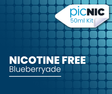 Blueberry Lemonade Nicotine Free 50ml Vape Juice